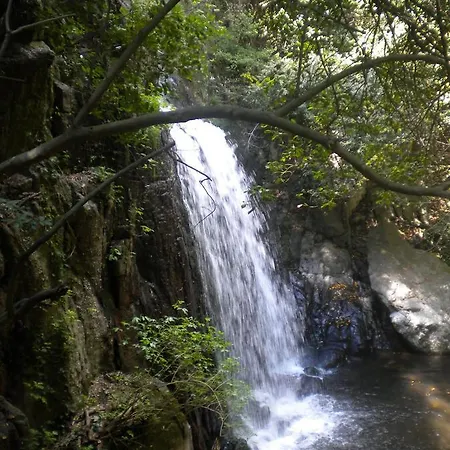 招待所 多莫斯玛丽亚住宿加早餐旅馆 *