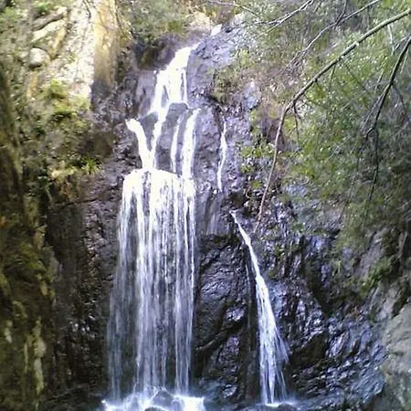 Domus Maria בית הארחה *