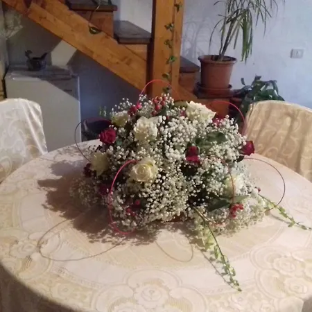 בית הארחה Domus Maria *