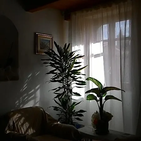 Guest house Domus Maria *
