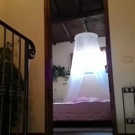 Гостевой дом Domus Maria