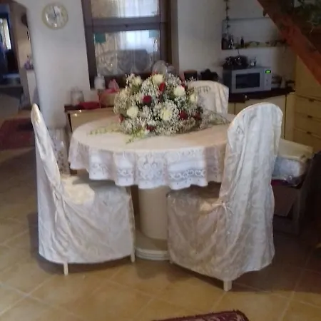 Domus Maria *