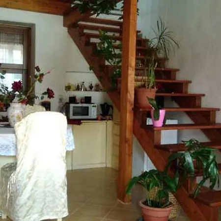 Domus Maria
